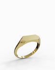 Gally ring