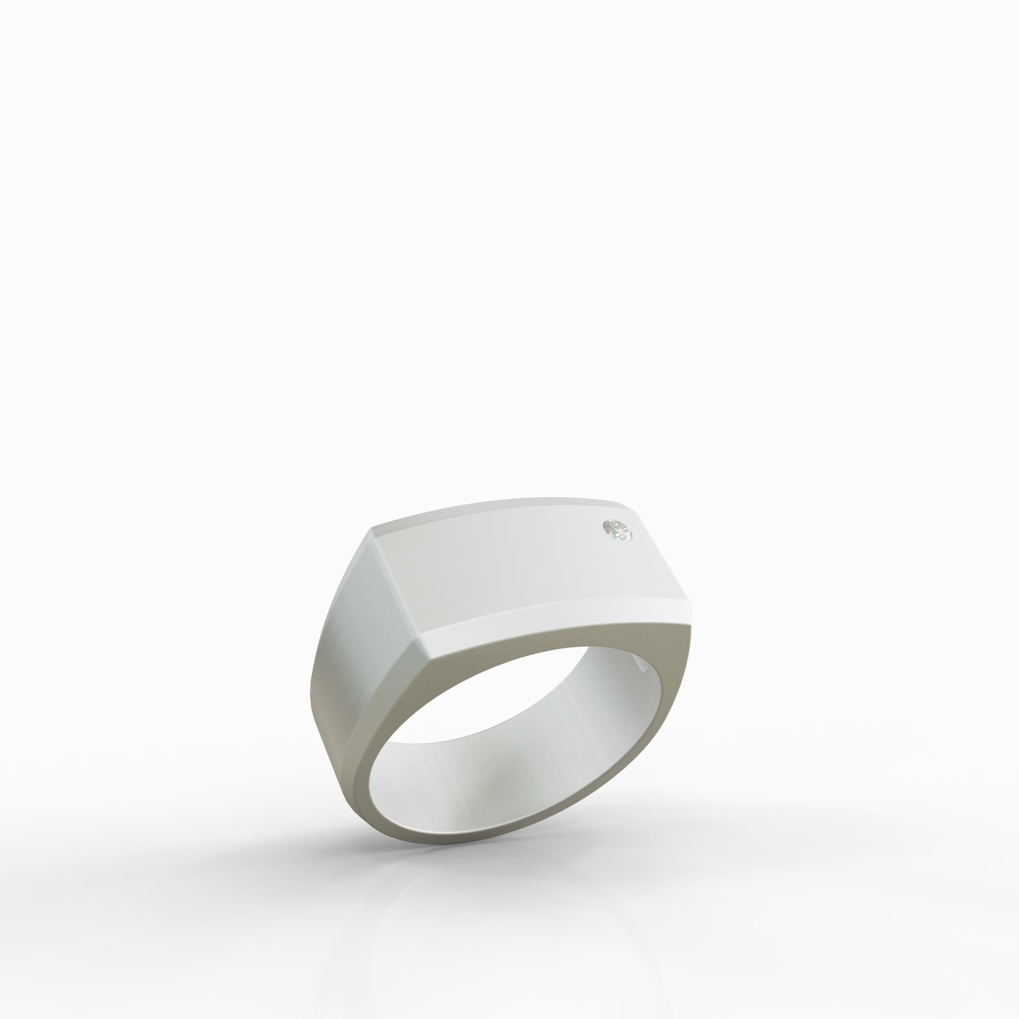 טבעת זהב לבן Terra בגימור מט יוקרתי עם שיבוץ יהלום עדין - טבעת חותם יוניסקס 